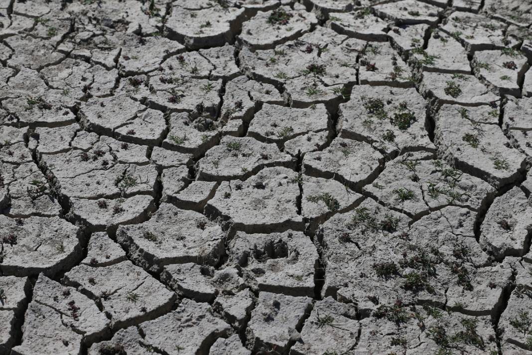 Barajdaki su çekildi, köy enkazı ortaya çıktı, balık kafesleri zeminle buluştu 13
